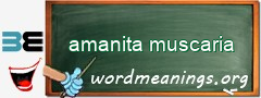 WordMeaning blackboard for amanita muscaria